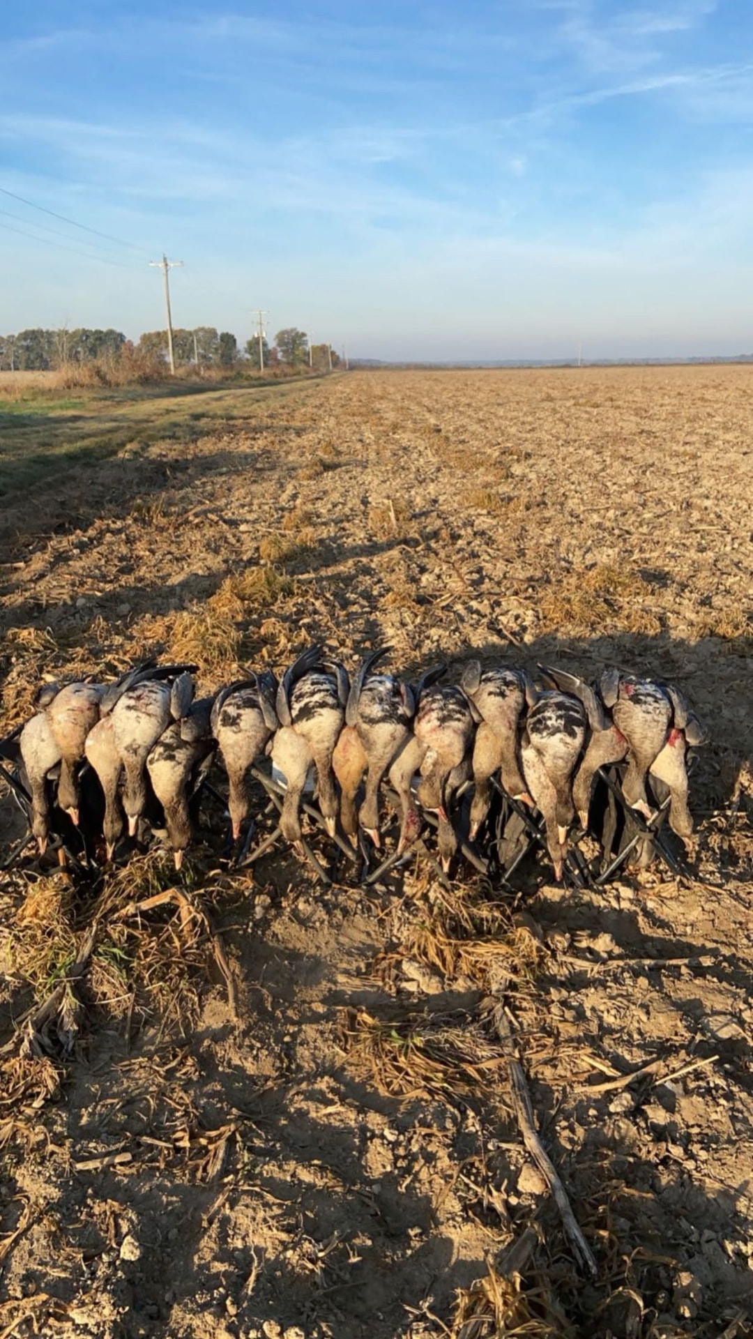 After the field hunt